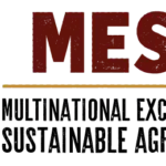 MESA