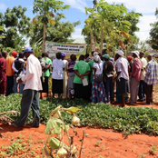Community Gathering